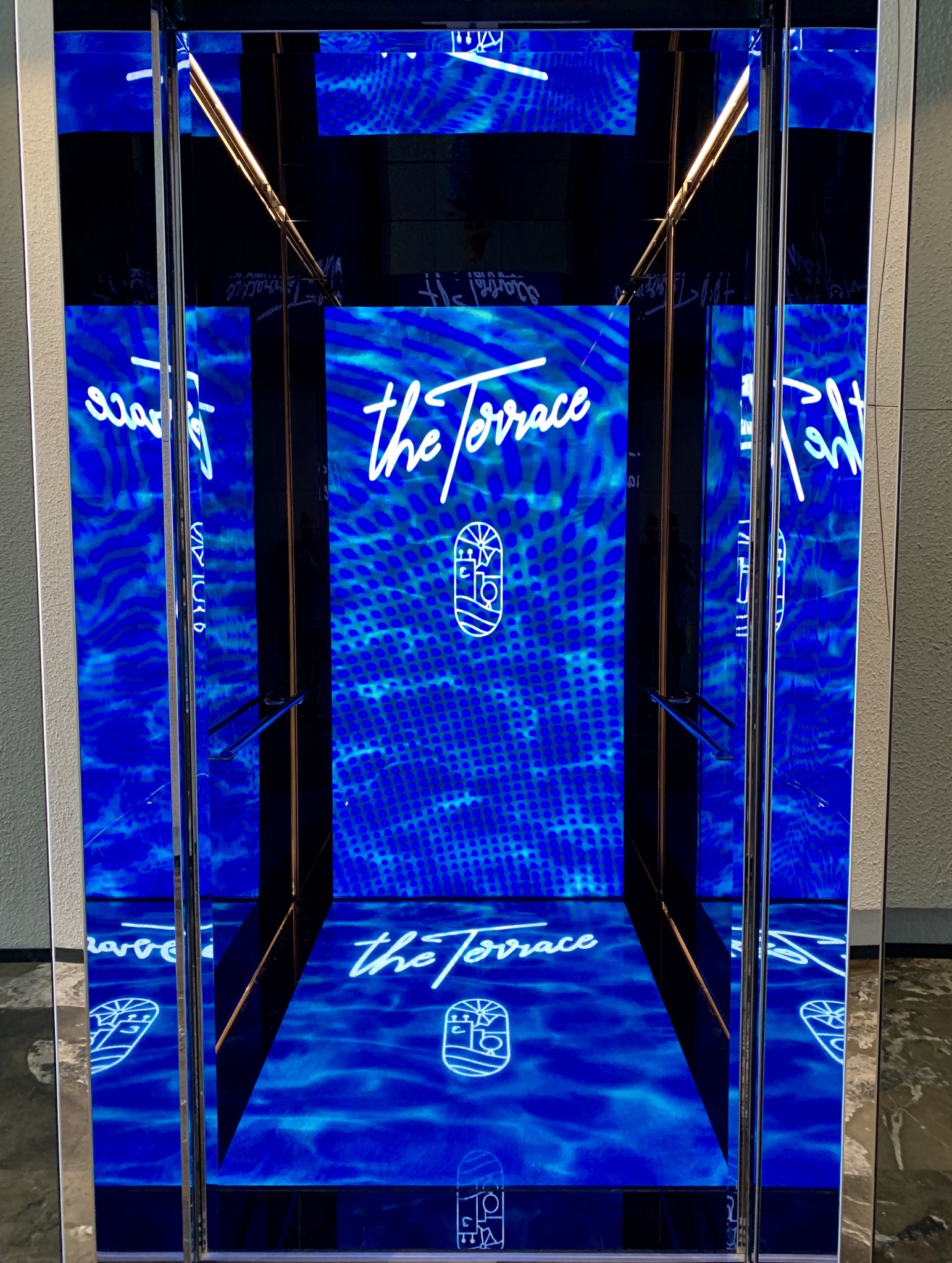 Otis 1000 Kg 13-Person Passenger Elevator